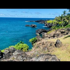 Meet your Posher, Elena